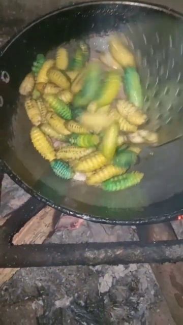 Silkworm video 😋😋🥰🥰#Short# смотреть онлайн