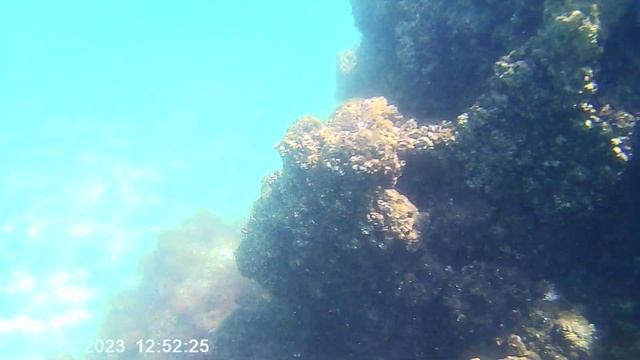 MOVI0009 смотреть онлайн