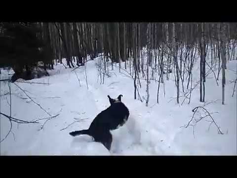 Моё первое видео