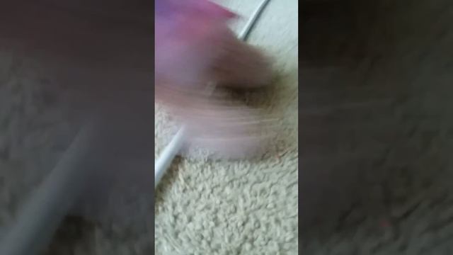 unicorn rabbit coffee koala spill смотреть онлайн