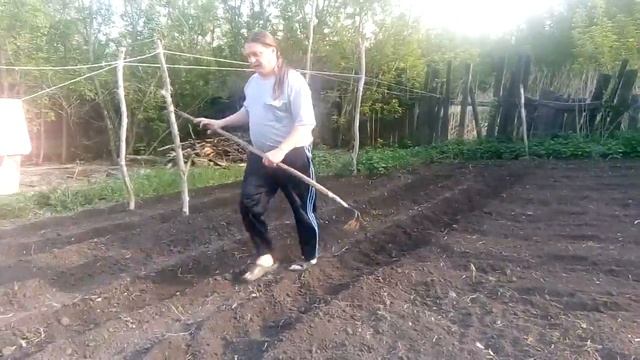 как мы делаем грядки. простой способ. трудов меньше,эфект тот же. смотреть онлайн