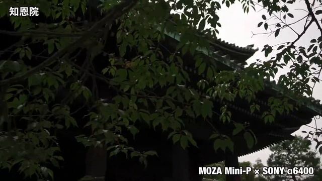 MOZA Mini-P × SONY α6400 京都『知恩院』2020.6.3 смотреть онлайн