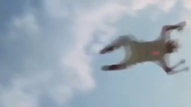 Богатенький Ричи 1994 трейлер смотреть онлайн