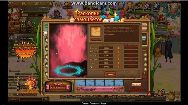 Ninja World (Обзор ивентов)