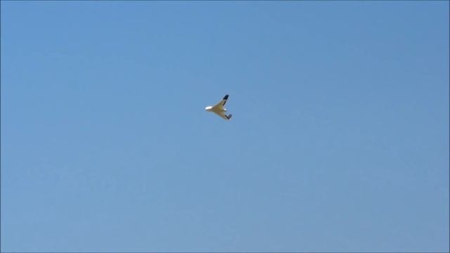Skywalker X8 FPV UAV Flying Wing 2120mm смотреть онлайн