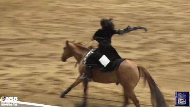 2021 Quarter Horse Congress Freestyle Megan Bush On JWB Tex