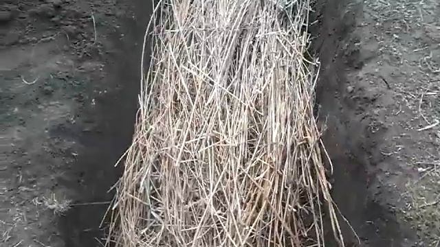 теплая грядка 1 этап смотреть онлайн