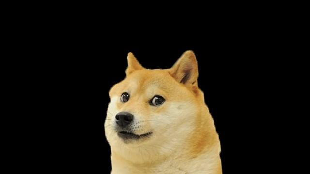 Tun tun tuuuuuun смотреть онлайн