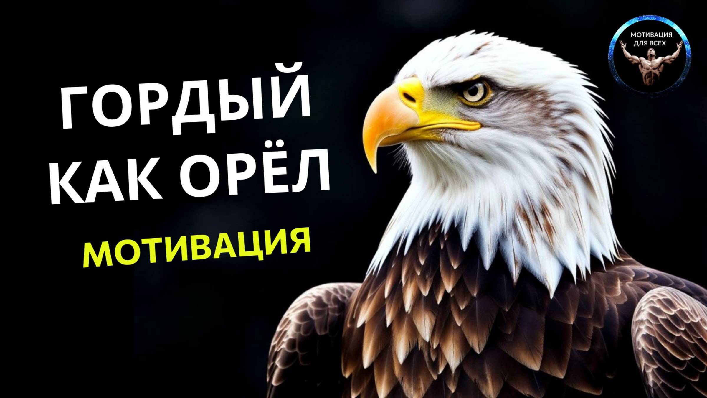 Гордый как орел. мотивационные видео. Орел птица гордая.