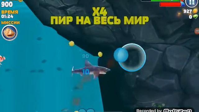 Играем в голодную акулу смотреть онлайн