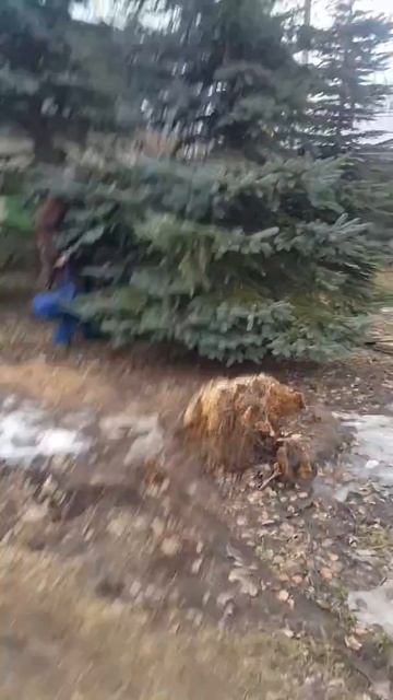 Мядельский Рэпер смотреть онлайн