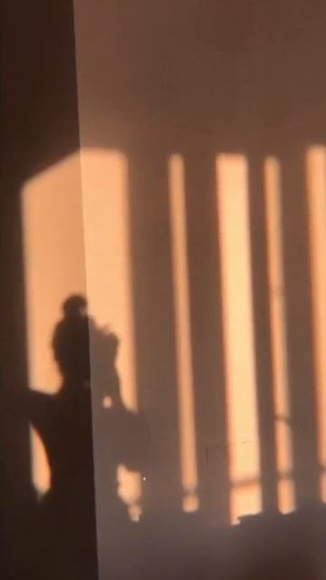 Как дельфины 🥺 смотреть онлайн