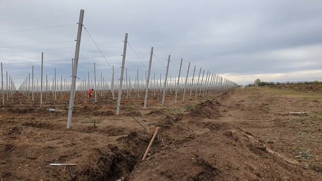 Ферма в Крыму: Влог | ИТОГИ РАБОТ по ФЕРМЕ - ЯБЛОНЕВЫЙ САД и ЗНАКОМСТВО с КОМАНДОЙ смотреть онлайн