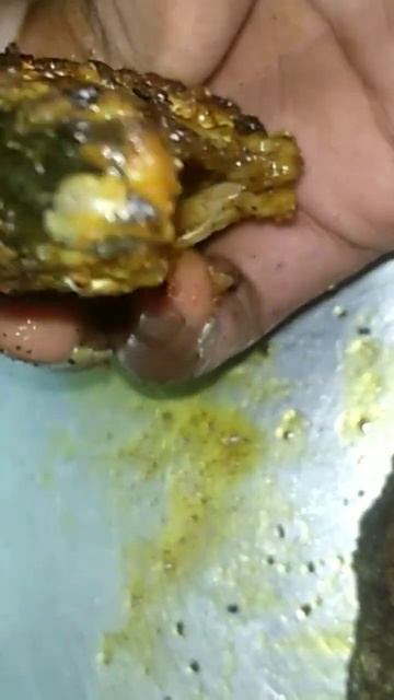 2 Big Fried Fish 🐟🐟🐟🐟🐟🐟🐟 Very Very Tasty👍👍👍👍👍👍😋😋😋😋😋