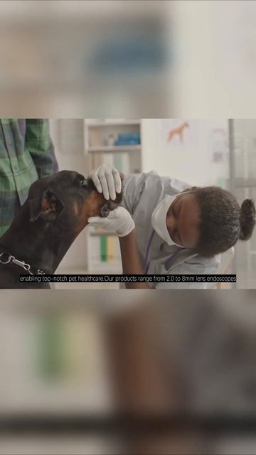 Unleashing Innovation With Reescope - The Otoscope Manufacturer