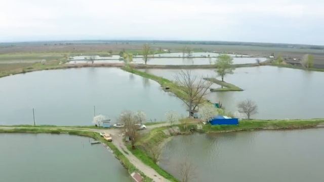 Объявление смотреть онлайн