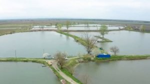 Объявление