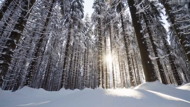 555. Видения Лены Калашниковой. 15.03.2024г. Обстановка в Балтийском море накаляется. смотреть онлайн