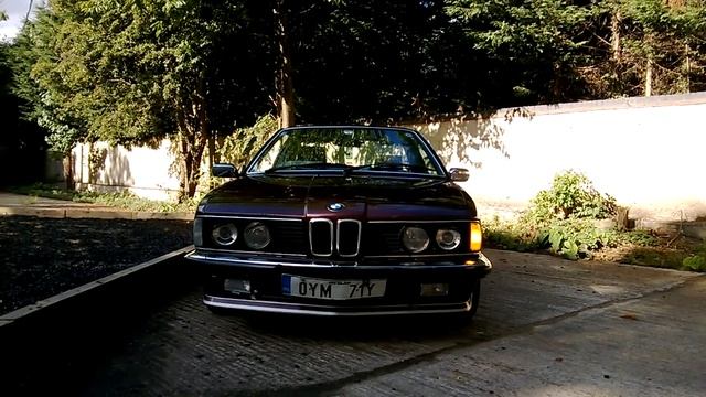 BMW E24 LED turn signal test 2 смотреть онлайн