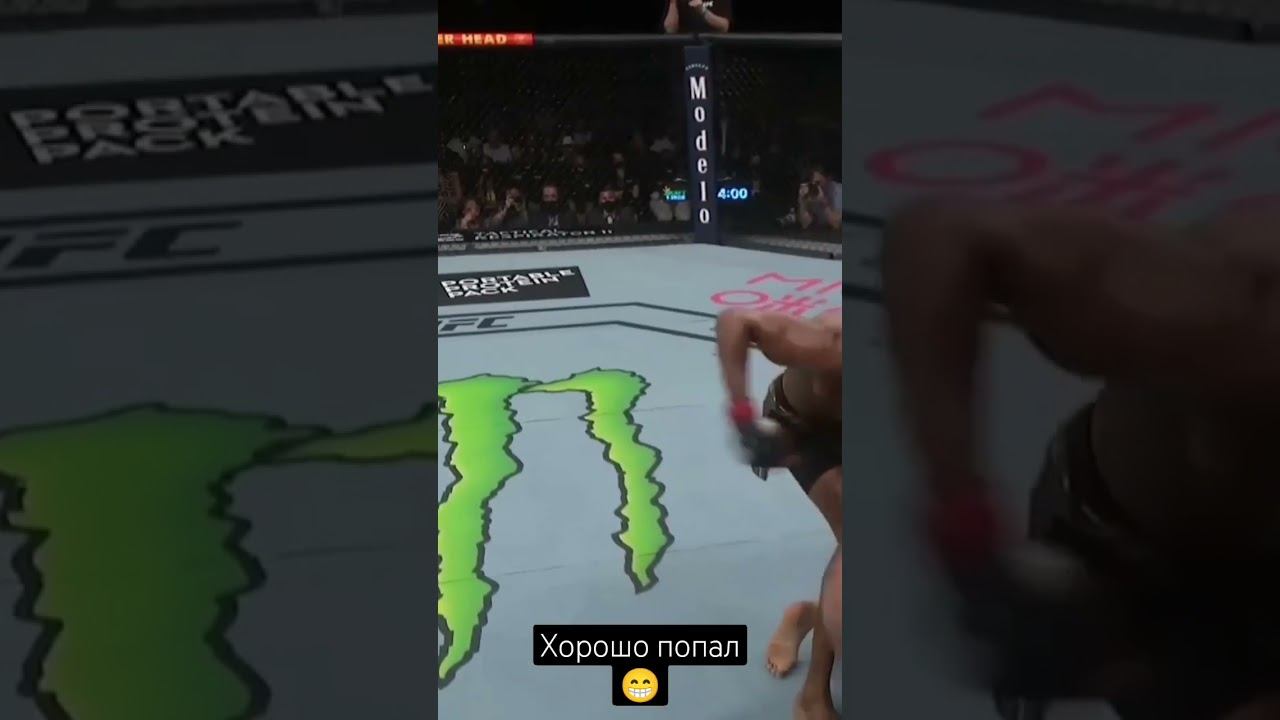 Реальные нокауты в UFC №12 смотреть онлайн