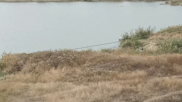 Рыбалка 10 октября 2023. смотреть онлайн