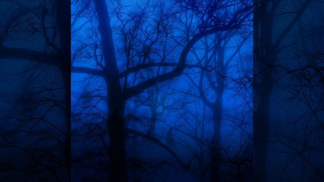 anxiety смотреть онлайн