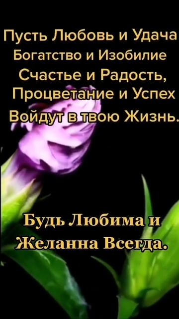 Я ПОДАРЮ ТЕБЕ ЦВЕТЫ, ЦВЕТЫ ЛЮБВИ МОЕЙ ДУШИ! смотреть онлайн