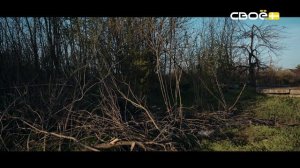 Выводы следствия. Страшный подарок