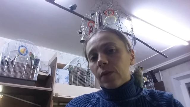 Ручные пузы. смотреть онлайн