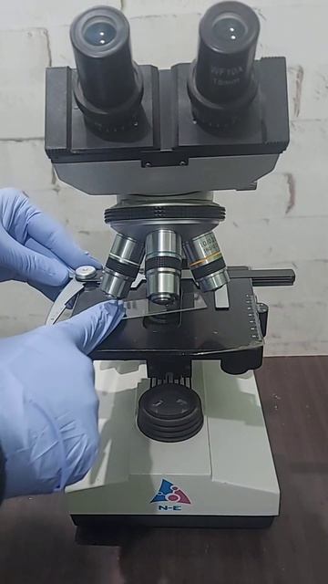 البراز تحت الميكروسكوب تحليل البراز stool analysis #البراز #stool #stools смотреть онлайн