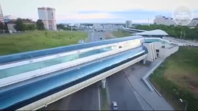 Пиратская Жизнь/Вечный развод, вечное унижение/Вову бесит Нина смотреть онлайн