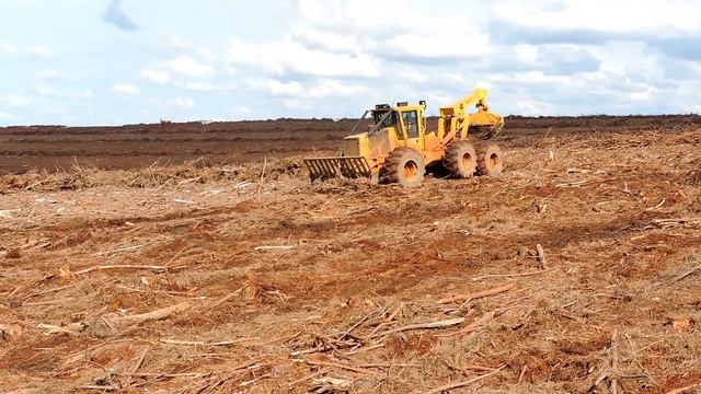 Skidder Tigercat 615C Leand Cleaning смотреть онлайн