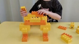 Почему я выбрала котёнка Соня Б, 4 года