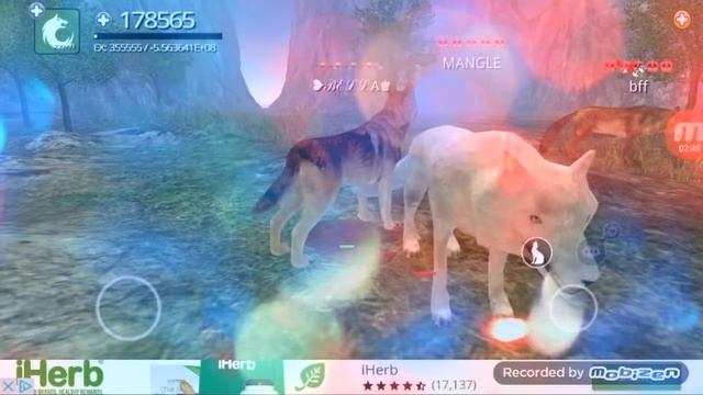 Wolf Online - being +07 pos смотреть онлайн