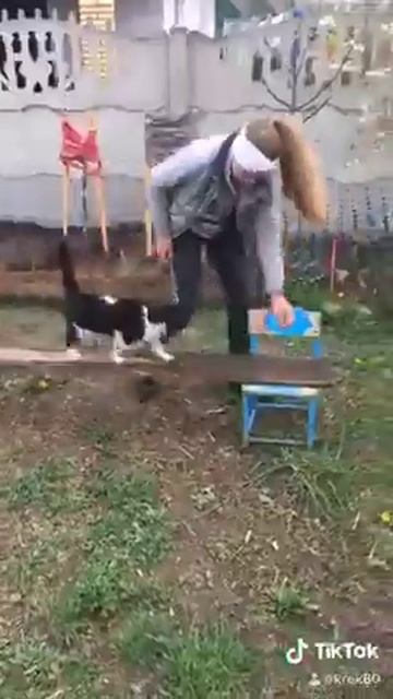 Домашний цирк смотреть онлайн