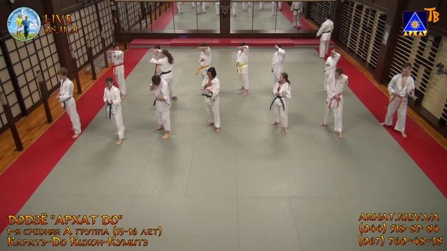 1-я Средняя Каратэ-До Кихон-кумитэ (08.11.2021) смотреть онлайн