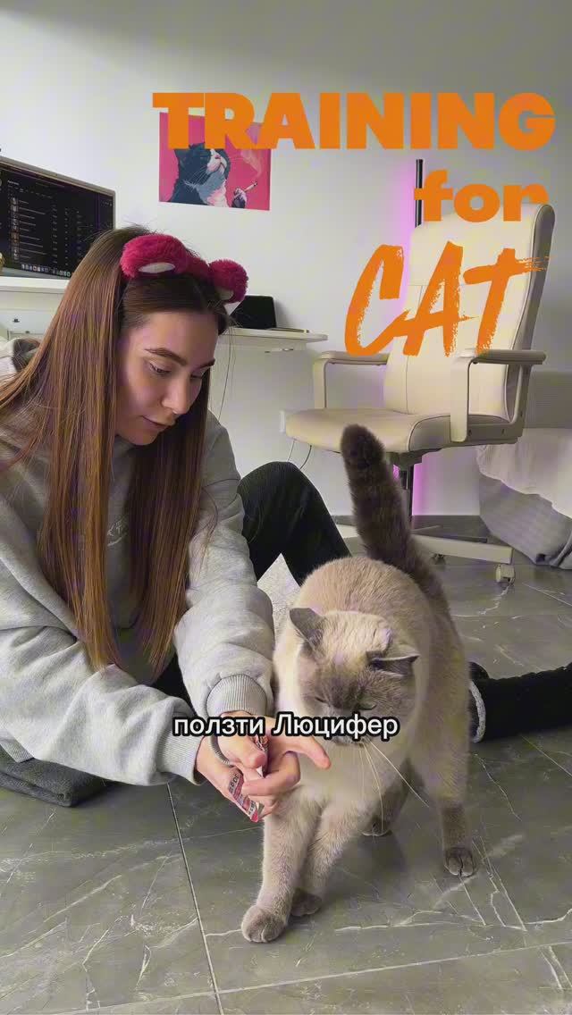 Мотивация дня: если даже Люцифер начал тренироваться — у тебя нет отмазок 😌 смотреть онлайн