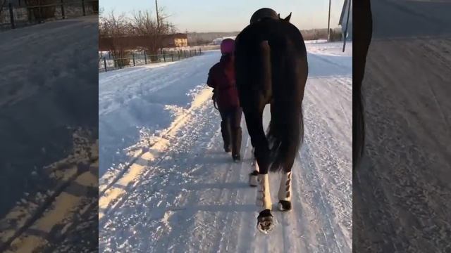 Восторг 2017 (Вообразимый - Осанна) русский верховой смотреть онлайн