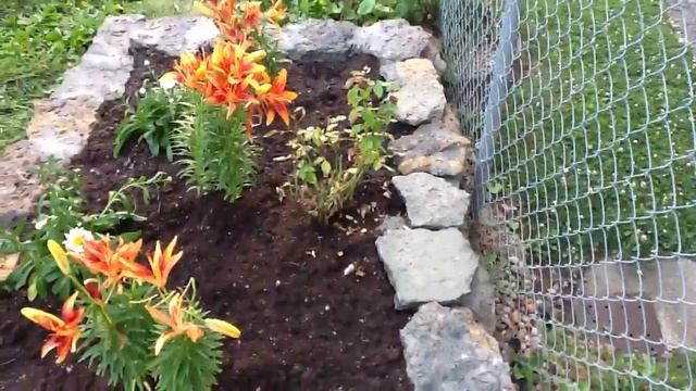Raised rock flower bed смотреть онлайн