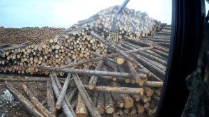 Работа на форвардере ponsse elephant king Ponsse K121