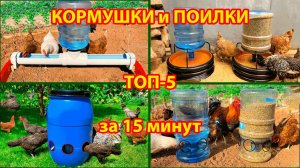 Кормушки и поилки курам за 15 минут лучшие варианты своими руками и как сделать пошагово