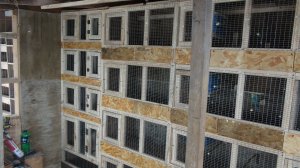 Клетки для размножения Волнистых попугаев.