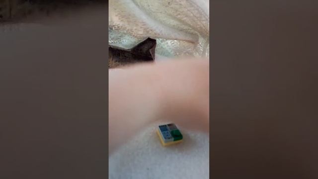 Лего головоломка смотреть онлайн