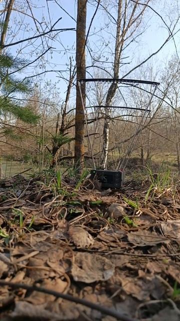 Сон это не Сон! а не сон это Сон!