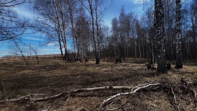 5843704 смотреть онлайн