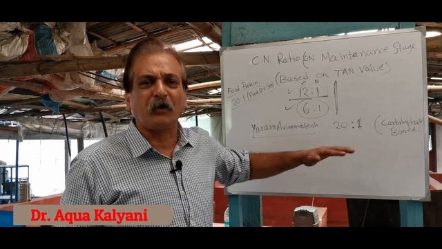 C/N Ratio In Biofloc Tank Part-2 || বায়োফ্লক ট্যাংকে সি এন রেশিও পর্ব -2 смотреть онлайн
