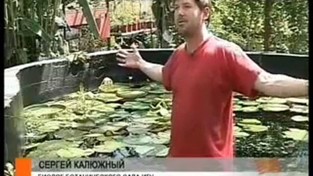 020811 Kuvshinka смотреть онлайн