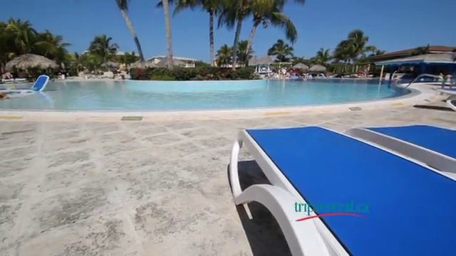 Melia Cayo Santa Maria tripcentral.ca Agent Review смотреть онлайн