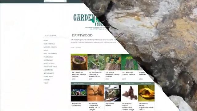 Gardens Plants Nursery смотреть онлайн