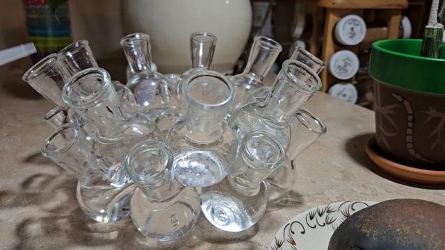 Propagating Some Of My Pothos Varieties